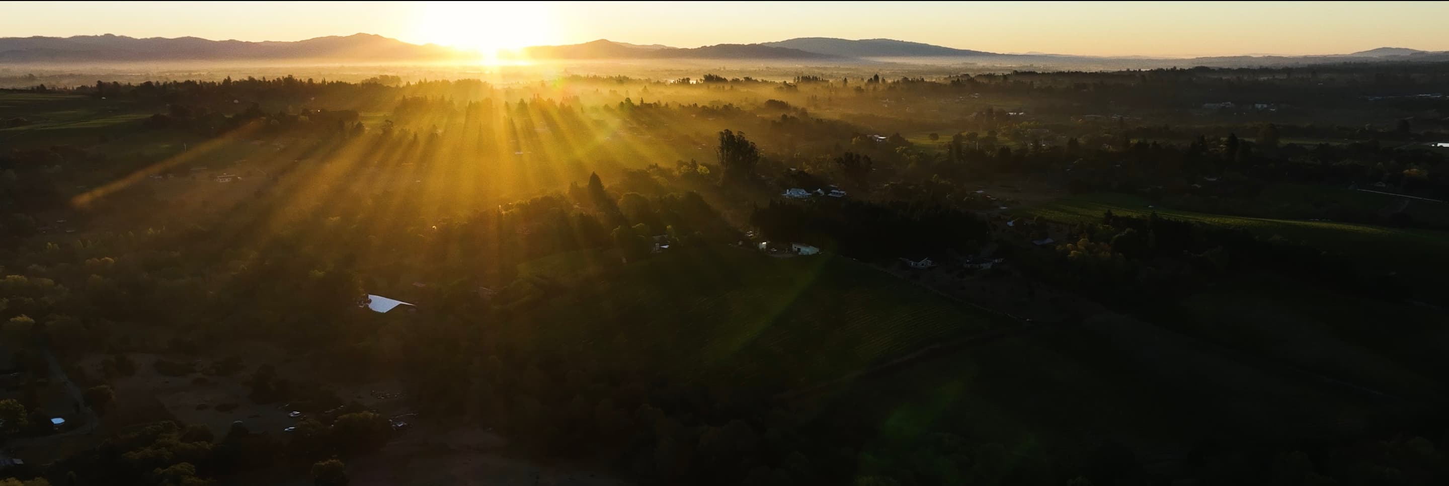 Earl Stephens Russian River Valley Sunrise
